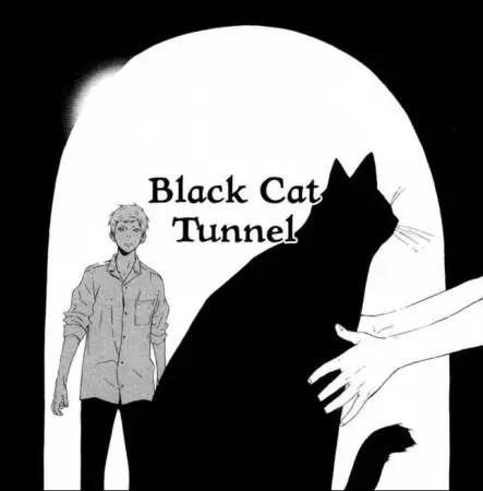 Black Cat Tunnel